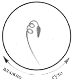 Рис. 23. Гигрометр из аистника