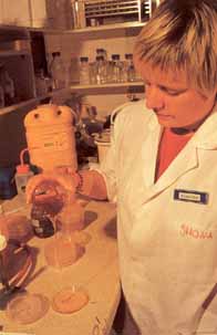 Шона Блайер за экспериментальной работой с медом