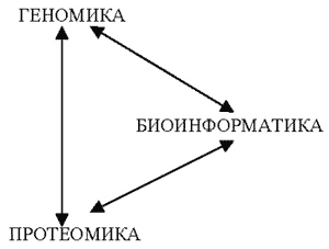 Рис. 1. Схема, иллюстрирующая полную взаимосвязь трех новых биологических наук