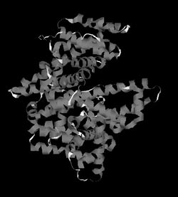 Рис. 7. Пространственная (третичная) структура молекулы сывороточного альбумина человека