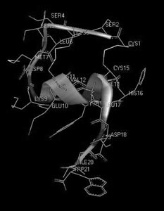 Рис. 15. Пространственная структура сосудосокращающего пептида эндотелина-1 человека